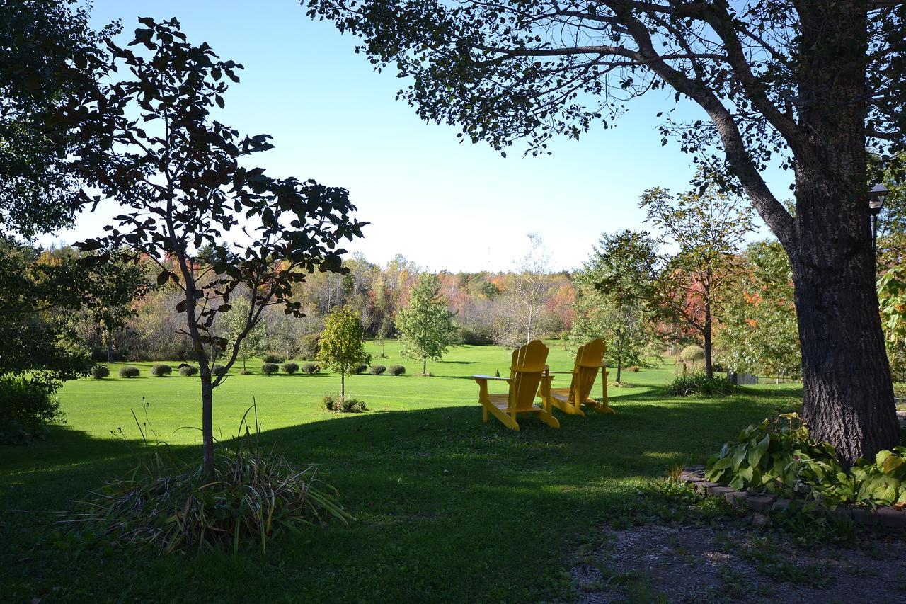Briarwood Bed & Breakfast Elmsdale Phòng bức ảnh
